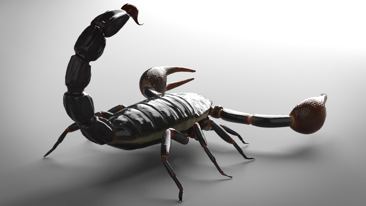 images/goods_img/202104094/scorpion rigged animated/4.jpg